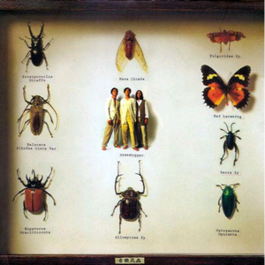 Japan白嫩丰满HD护士亨利冢本昭
